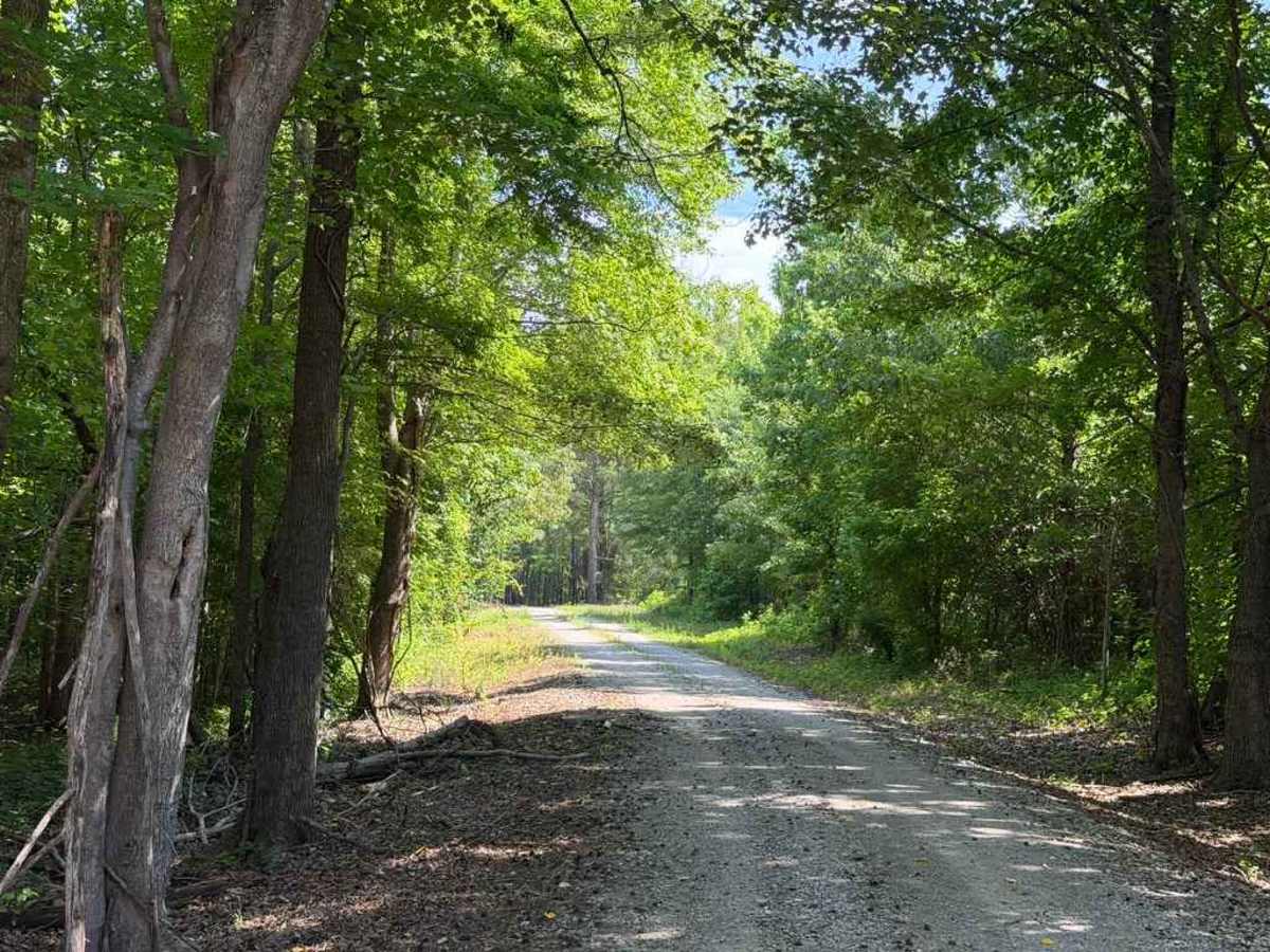 Anson Access Road photo 4