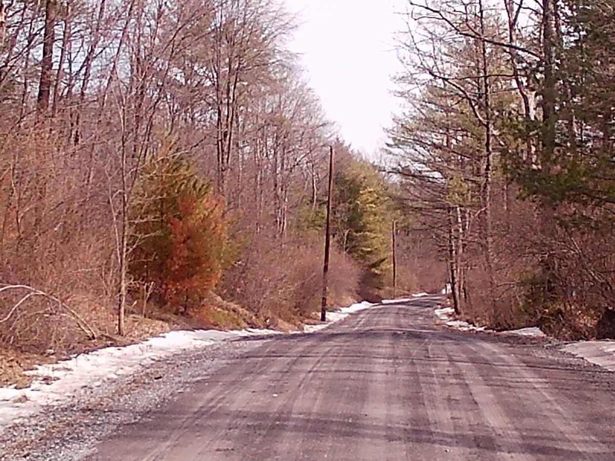 Fourth Gap Road photo 2