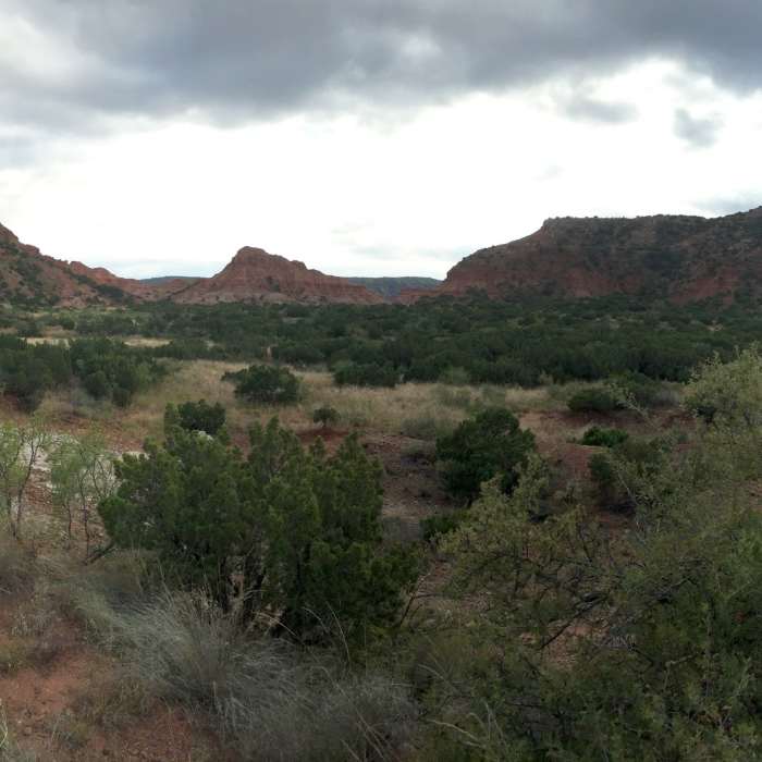 North Prong Primitive Campground. Near Haynes Ridge - Fern Cave Loop