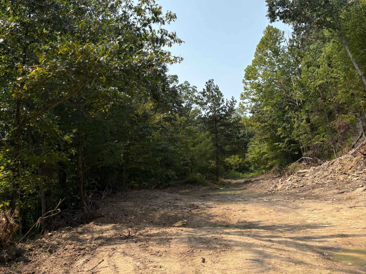 Trail 1 photo 3