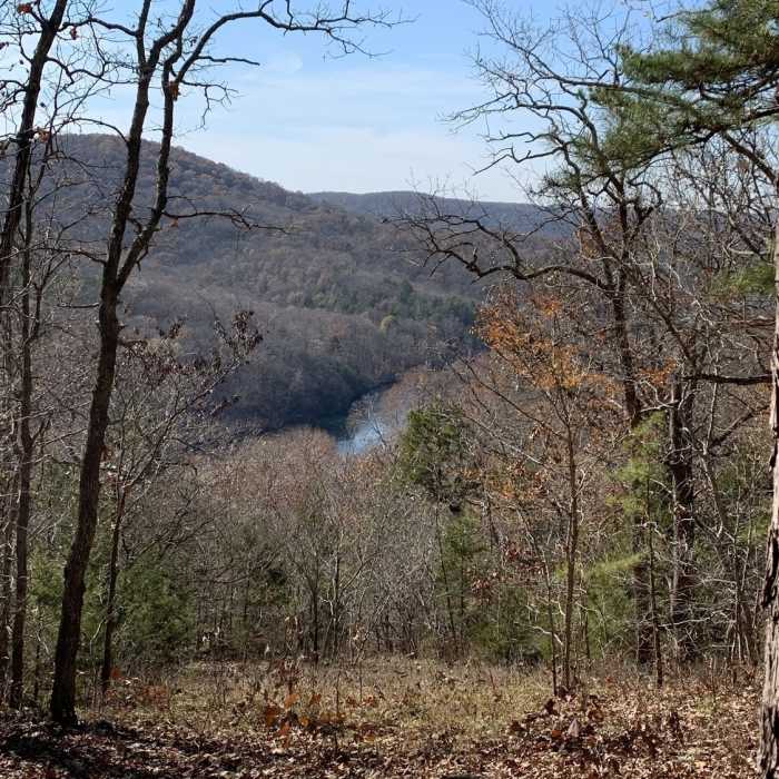 The current river from the top of the Centennial Trail. Near Centennial Bluff Trail