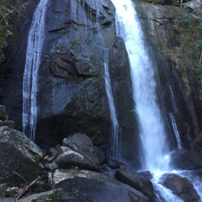 Near High Shoals Falls Loop Trail