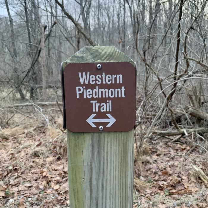 Near Timber Ridge/Tobacco Barn to Pine Grove Loop