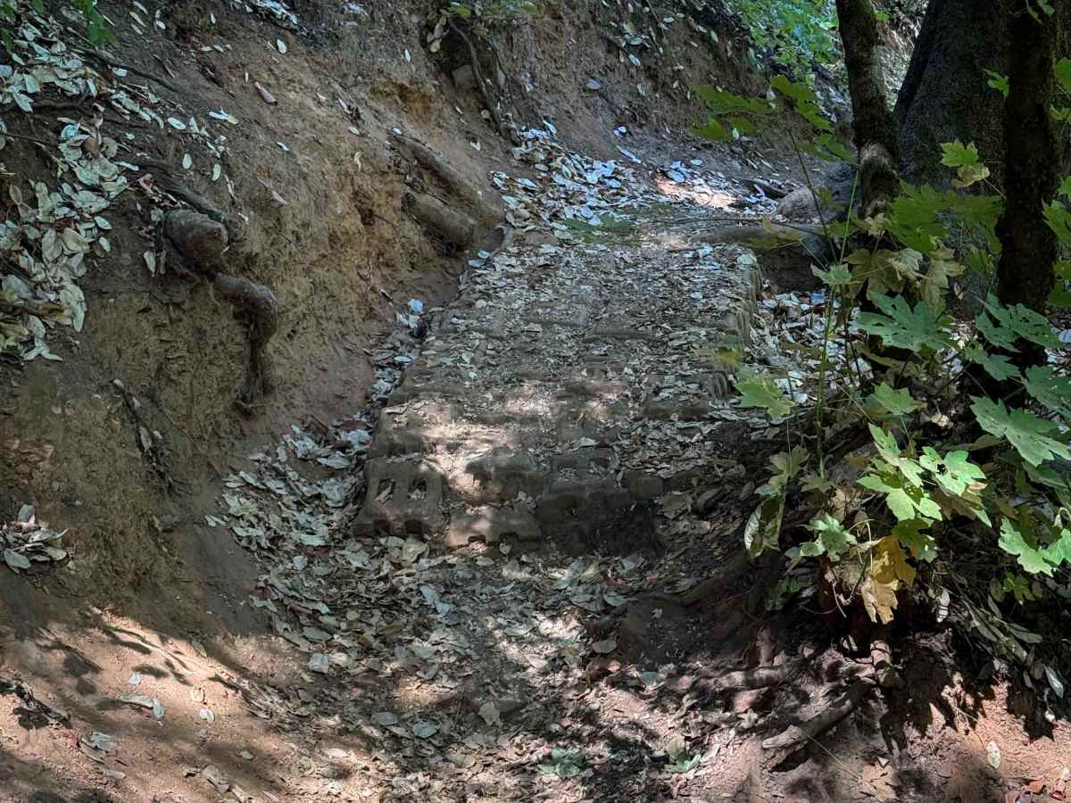 Trail 8 (11E24)  photo 3