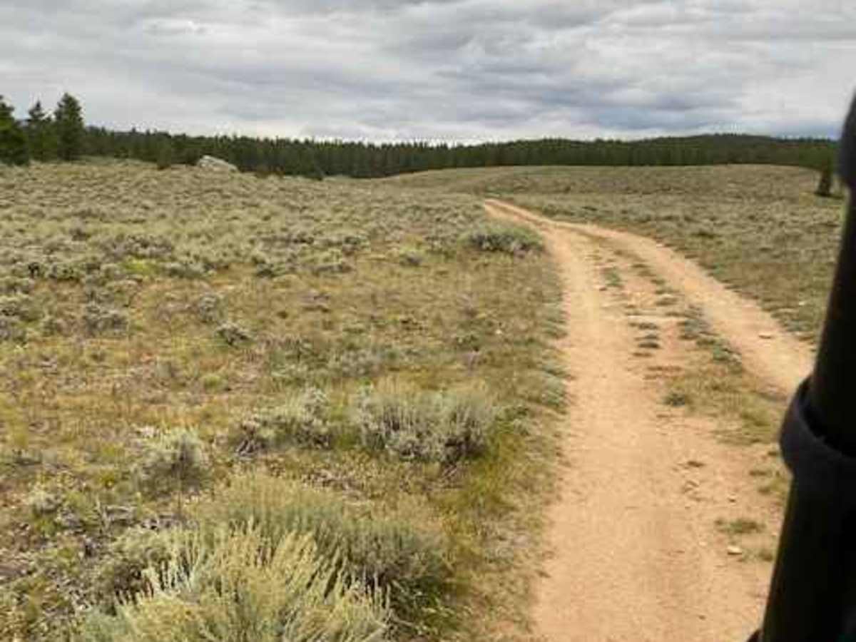 Texas Creek Woodsy Loop Trail photo 5