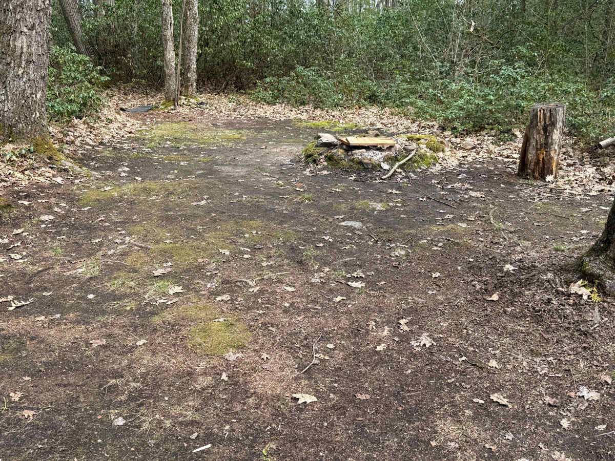 Hemlock Trail - FS 327 photo 6