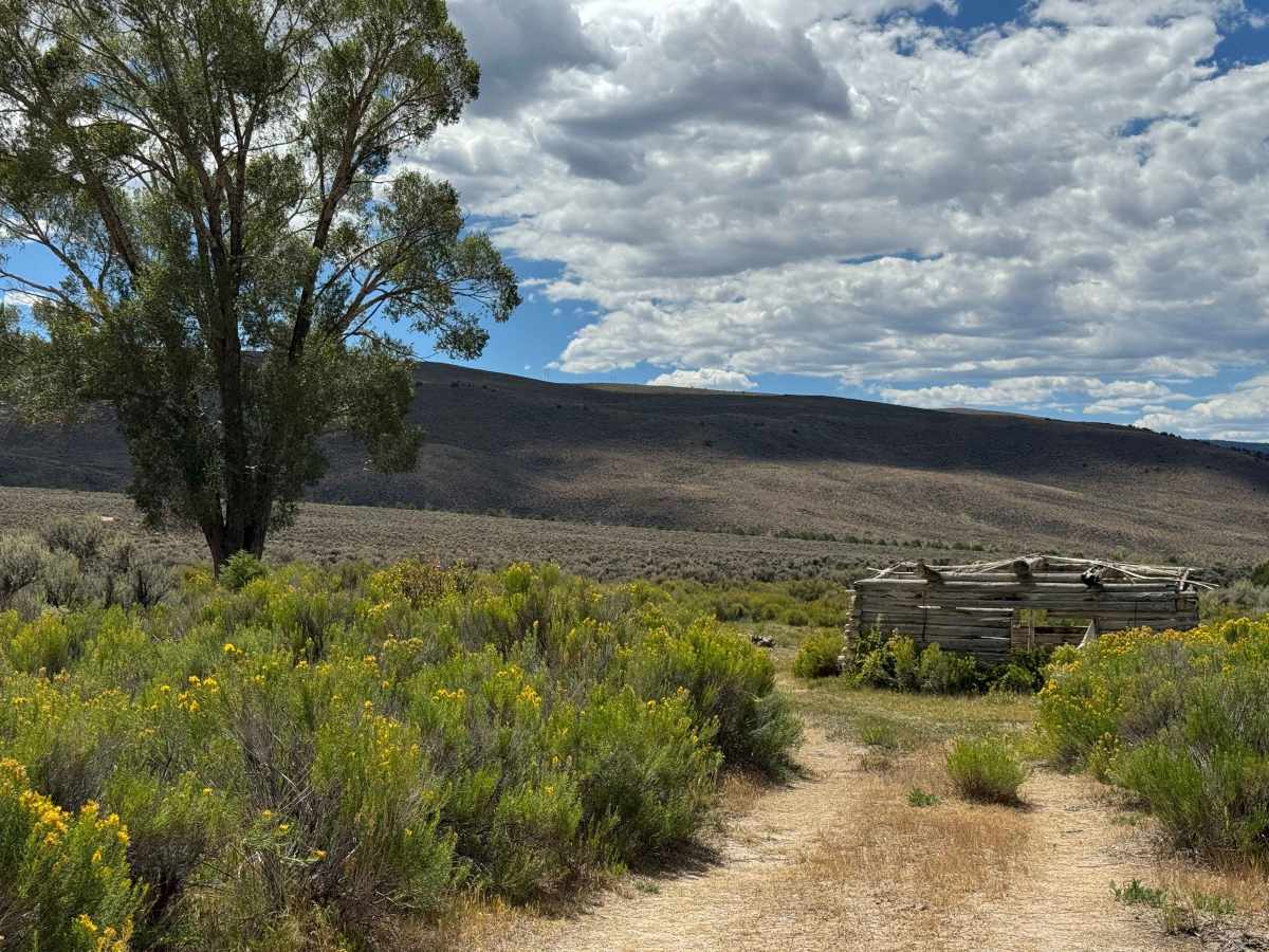 BLM 8532 trail photo