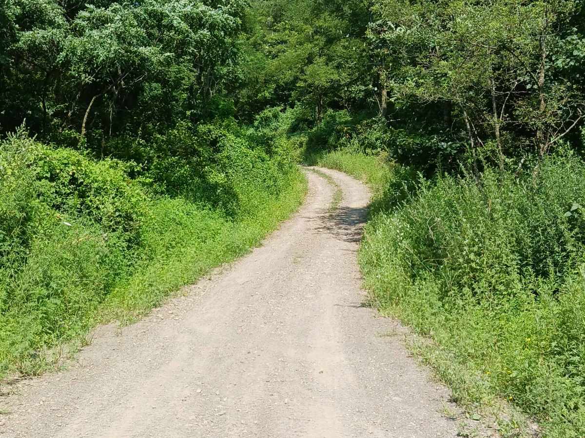 Grizzly Path - Rock Run Recreation Area photo 2