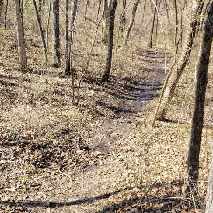 Near Eddy Ballentine Trail