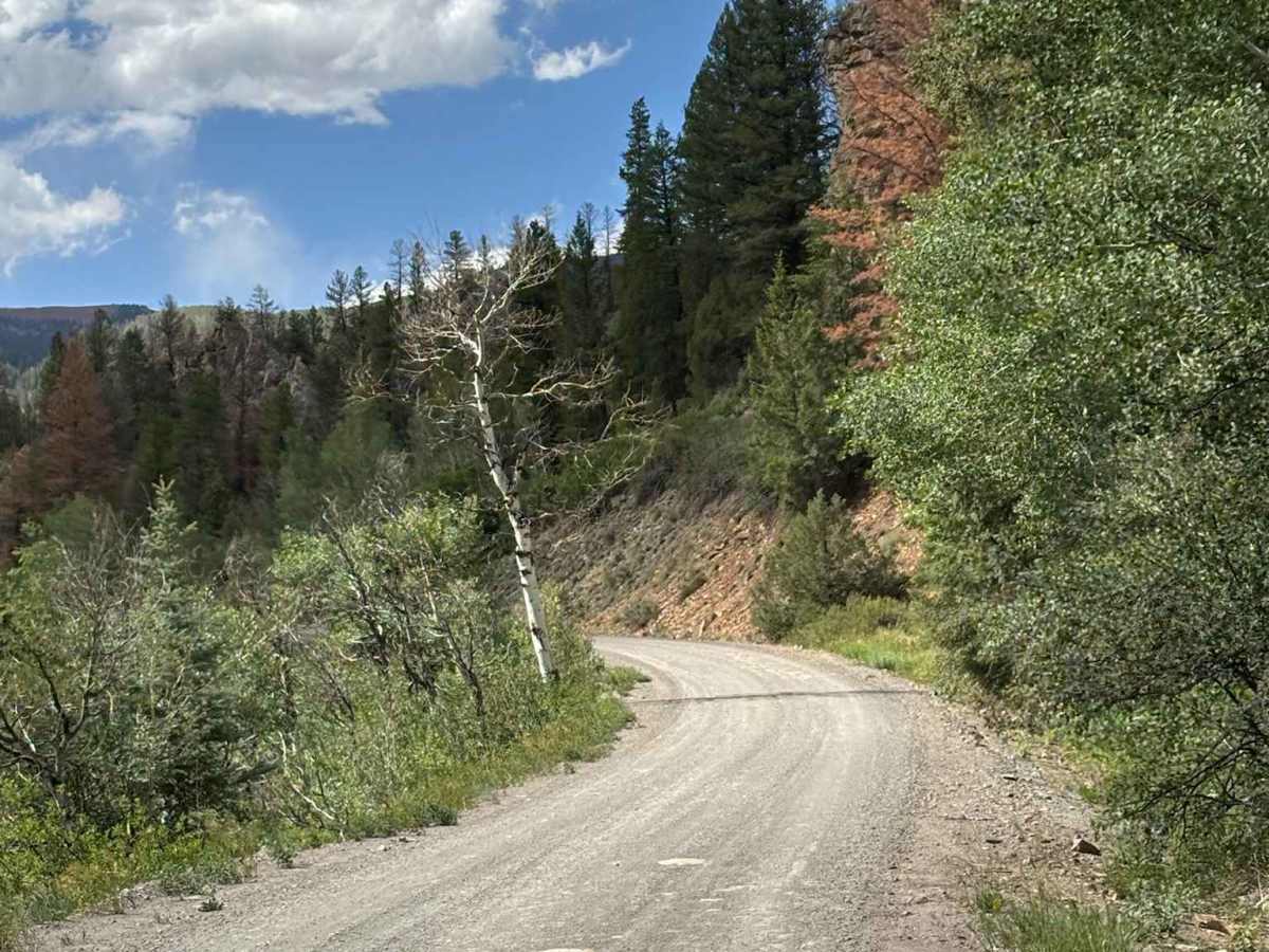 Lime Creek Road photo 4