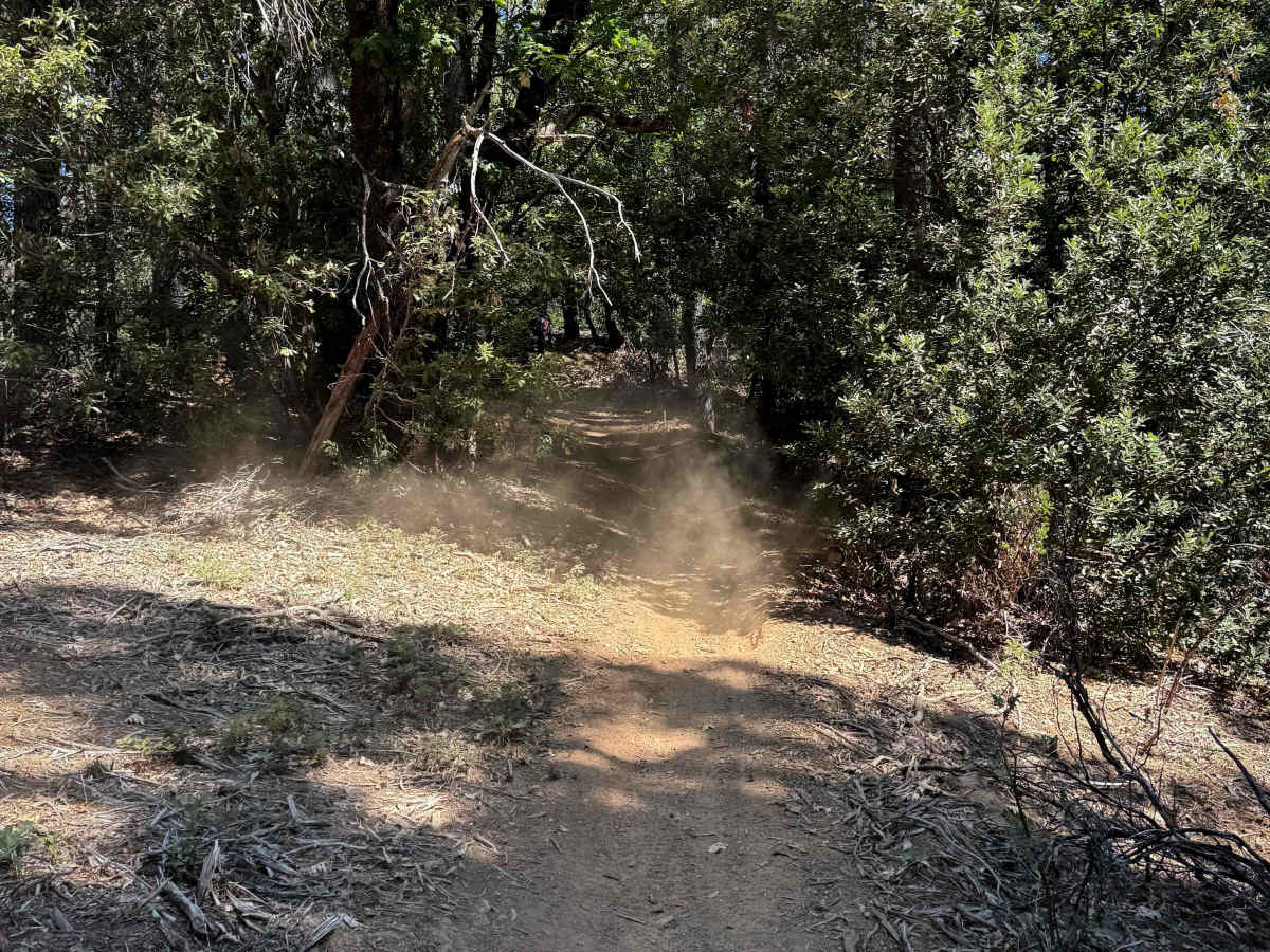 Trail 5-2 (11E29)  photo 6