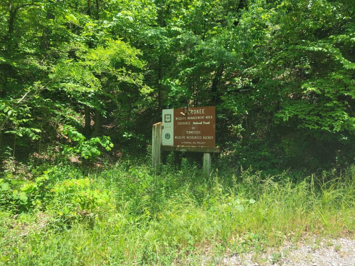 Ladd Springs Road (221) photo 2