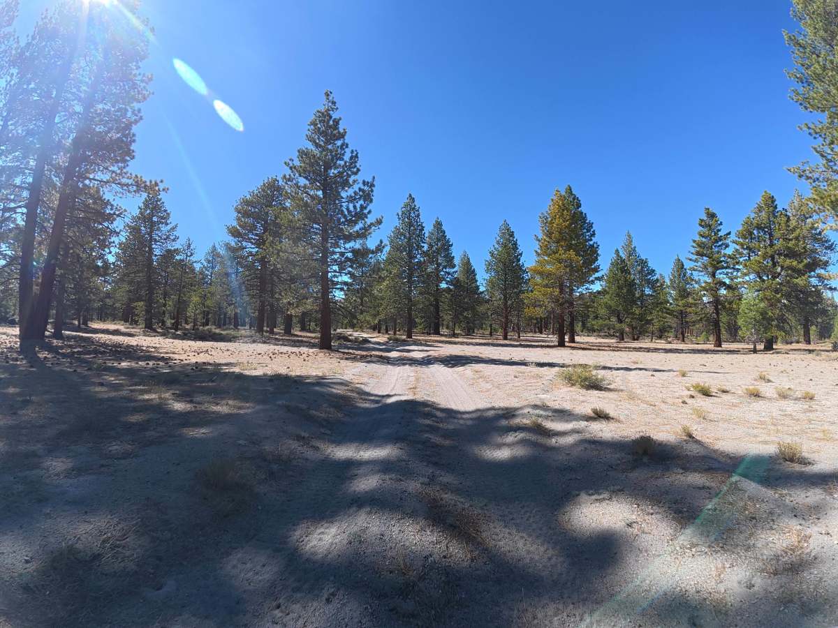 Sandy Flat - FS 1S42 trail photo