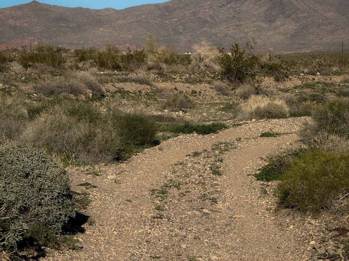 Abandoned Car Wash ATV Trail  photo 5