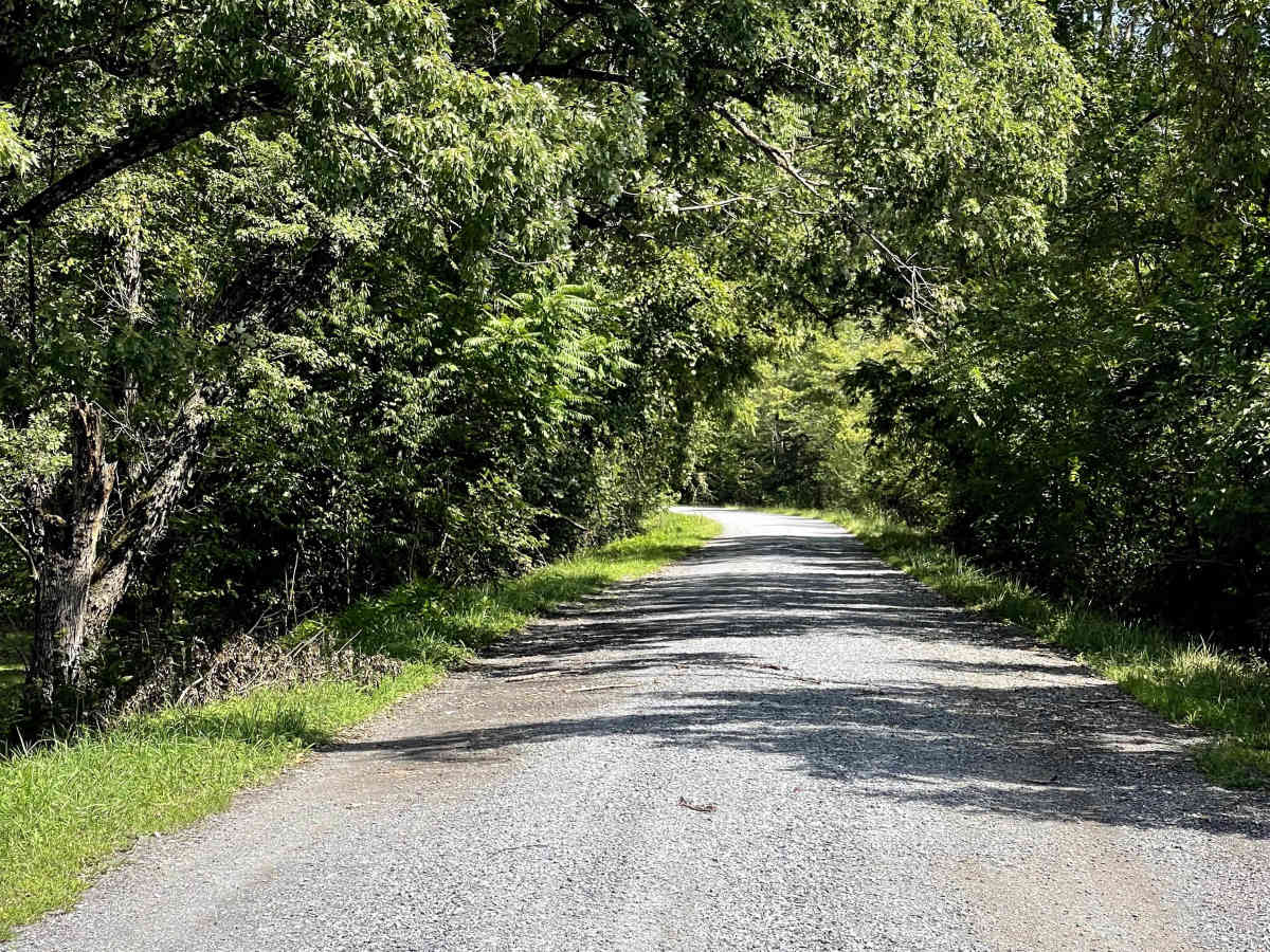 Old Rail Road  trail photo