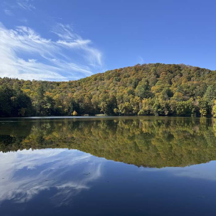 Near Summer Pasture Road