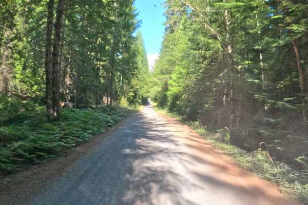 Pamelia Creek - FS 2246000 