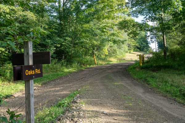 Oaks Road