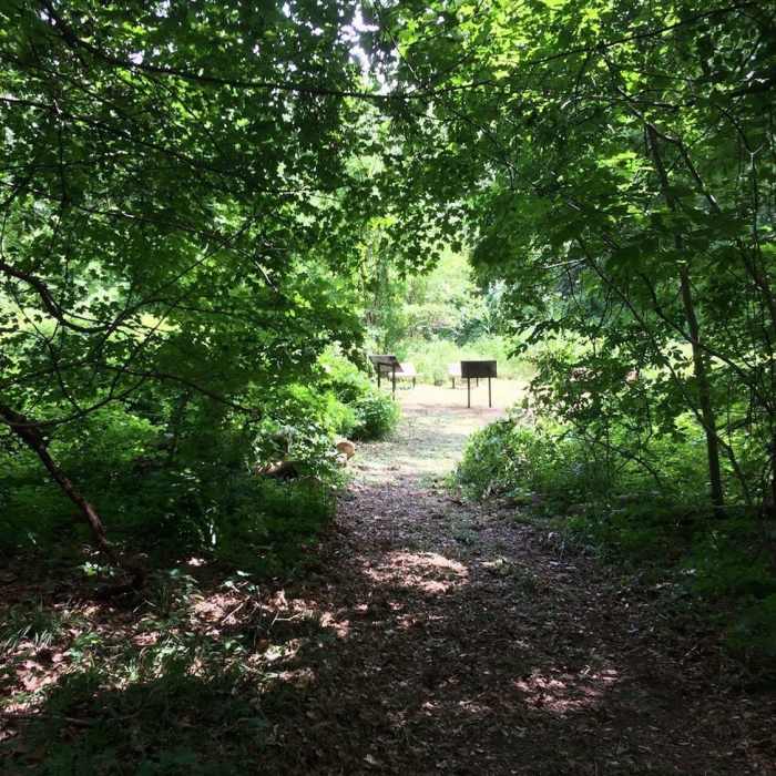 Leading to the Butterfly Gardens Near Joe Prance Nature Trail and Butterfly Gardens