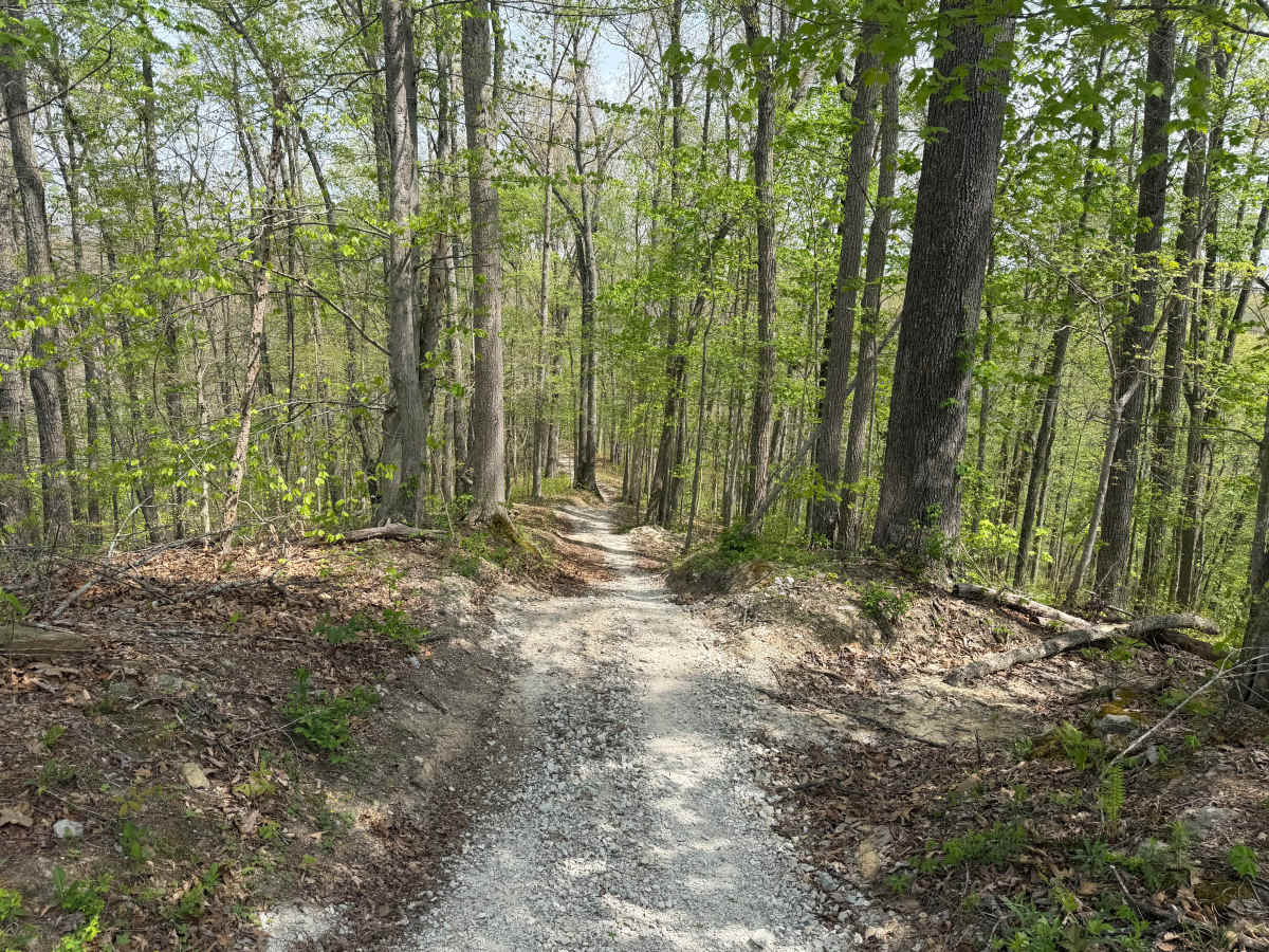 Powerline Trail photo 5