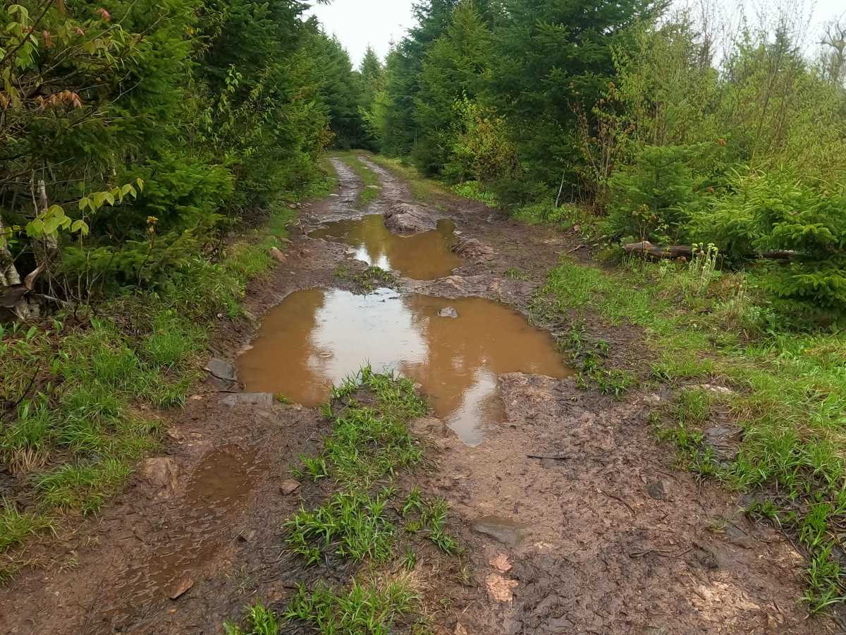 Farm Lake Trail photo 5