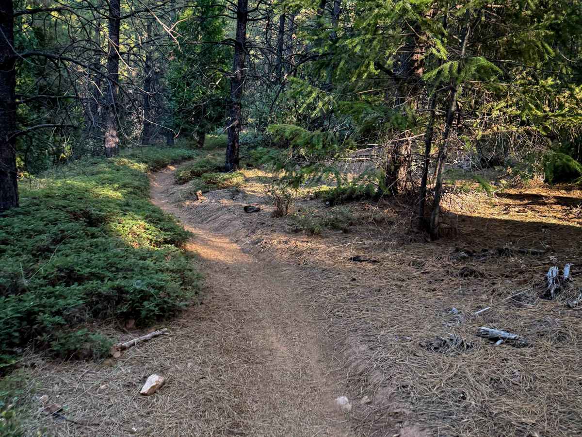 16EV141  trail photo
