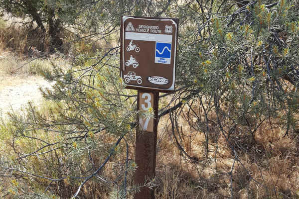 Trail 37