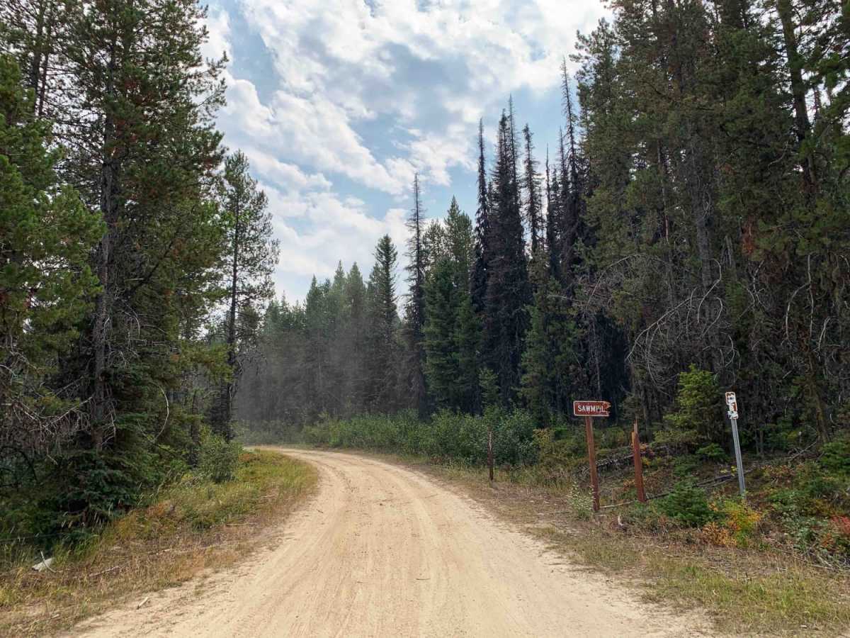 Ambrose Trail photo 2