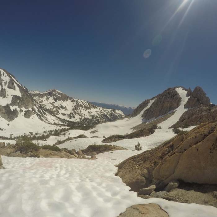 Near Goodale Pass Trail #28E20