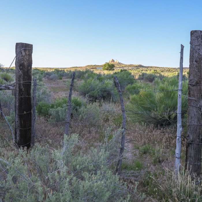 Near Panaca Swimming Hole to Teapot Arch Near Panaca Swimming Hole to Teapot Arch