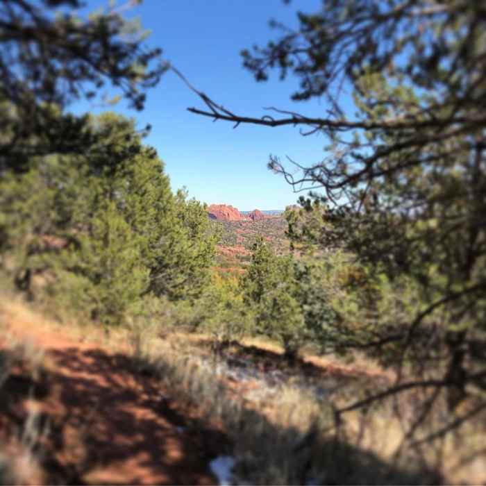 View after the first bend just past the cemetary. Near Intemann Trail, Crystal Valley Cemetery