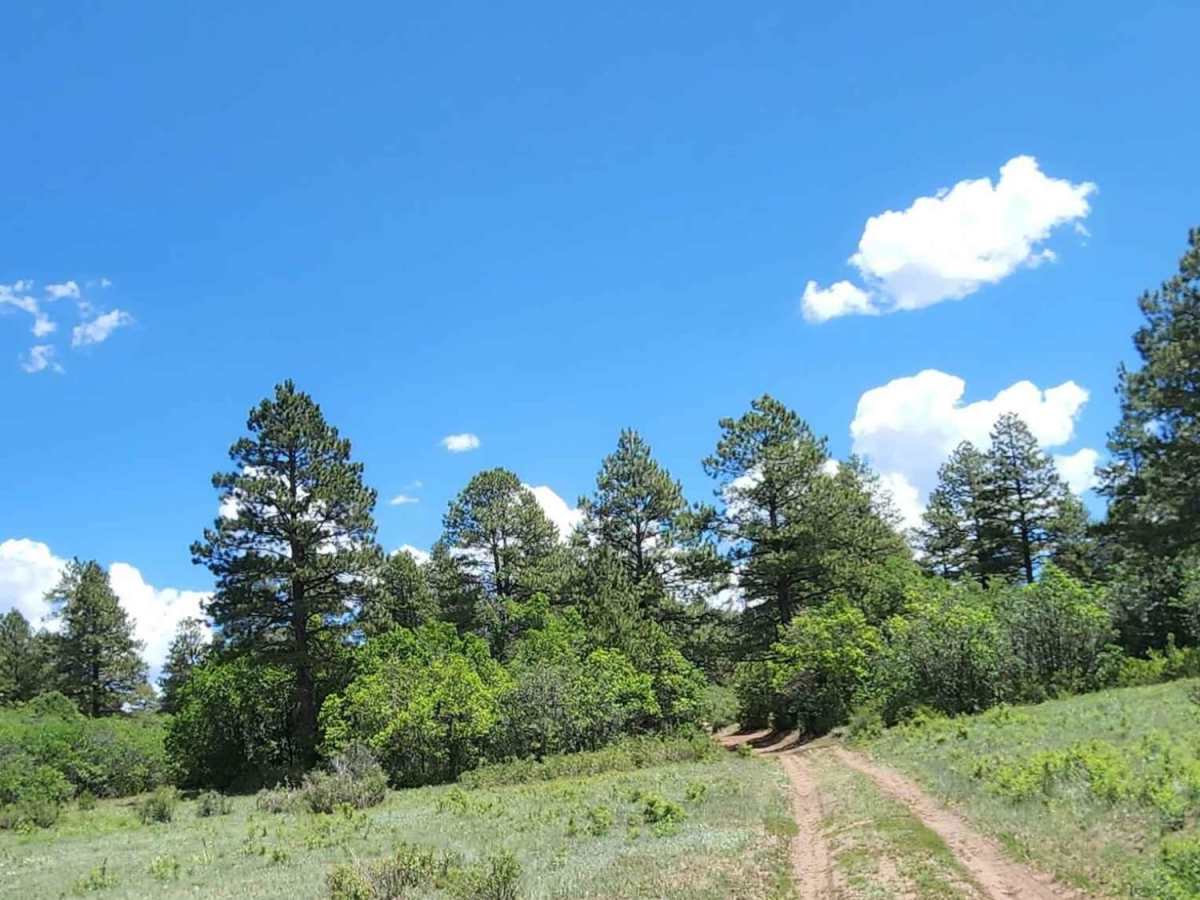 Dry Canyon A Road photo 3