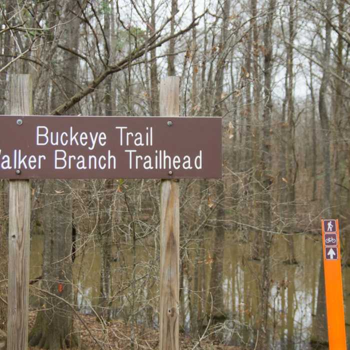 Near Chicot State Park Hiking Trail