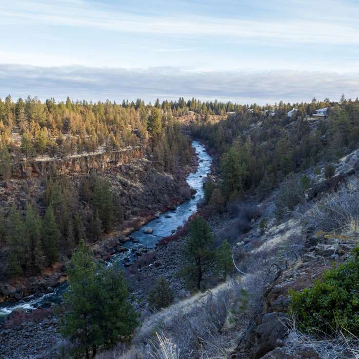 Near Archie Briggs Canyon Trail
