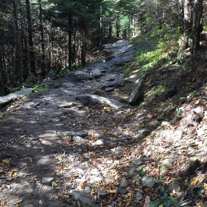 The Clingmans Dome Bypass Trail is quite rocky. Near Kuwohi (fka Clingmans Dome)