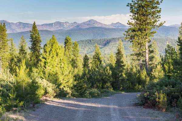 Wagon Mountain Road