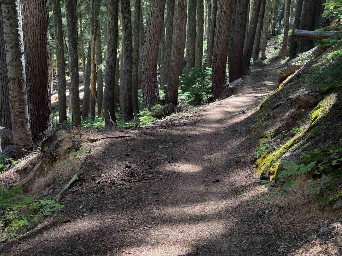 Indigo Lake Trail  photo 4