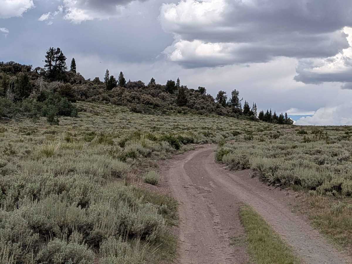 Big Spring Road West - FS 31083 photo 6