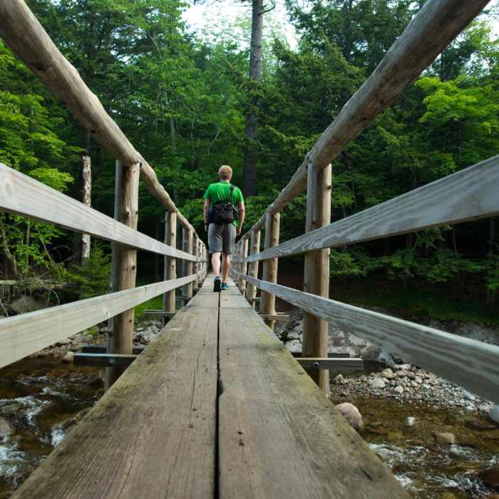 Near The Wolfjaws Near The Wolfjaws