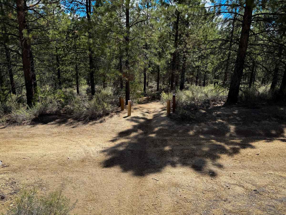 Trail 21  photo 6