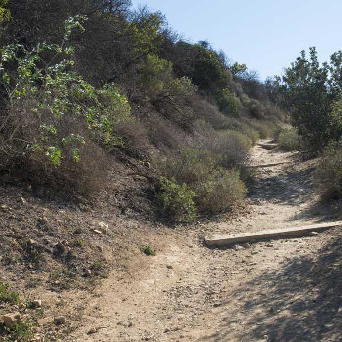 Near Runyon Canyon Park Loop