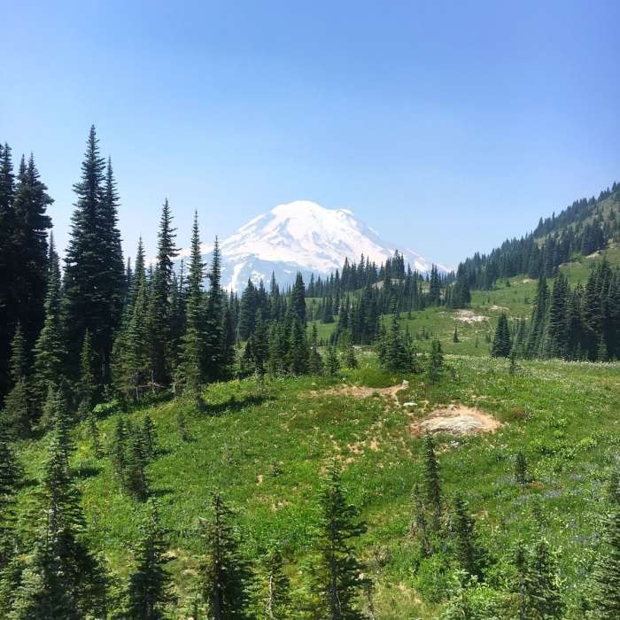 Near Naches Loop Trail