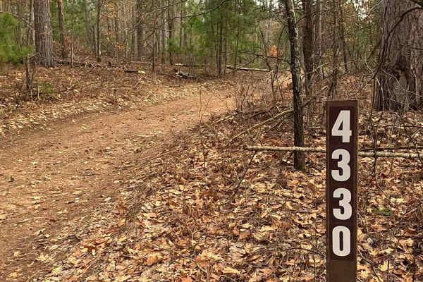 Woods - FS 4330