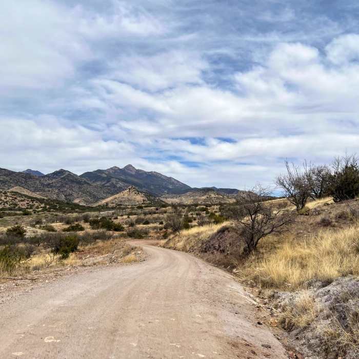 Near Walker Basin Loop