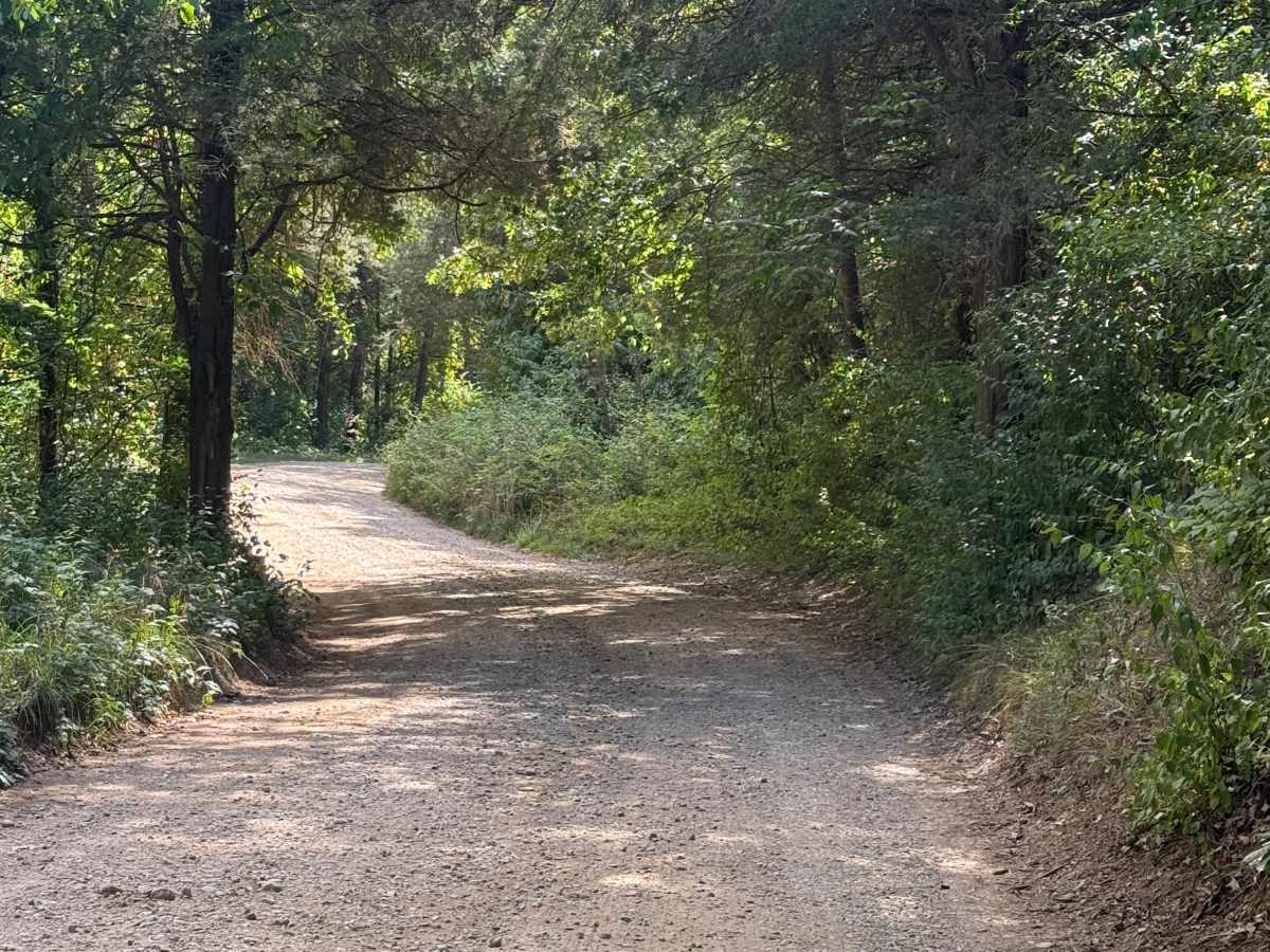 Crooked Lake Trail trail photo