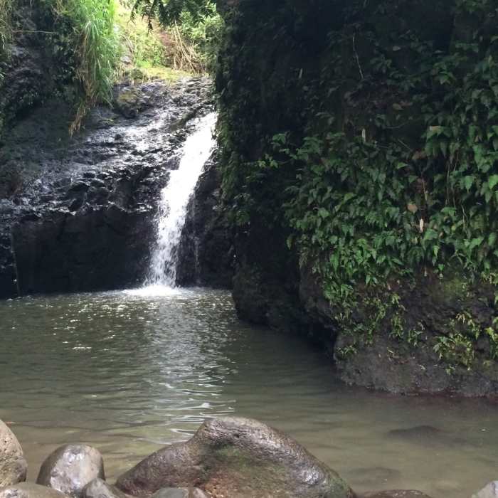 Near Maunawili Falls Trail