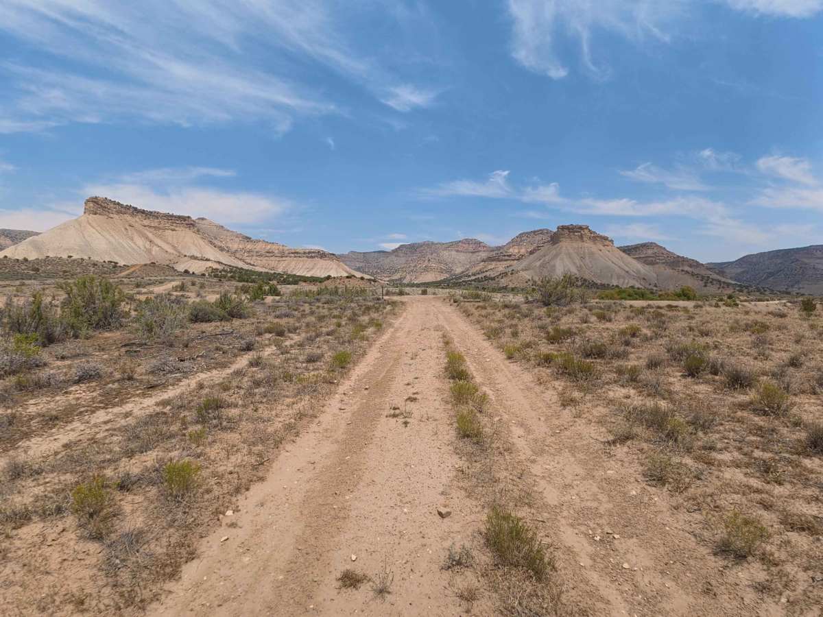 BLM 117 trail photo