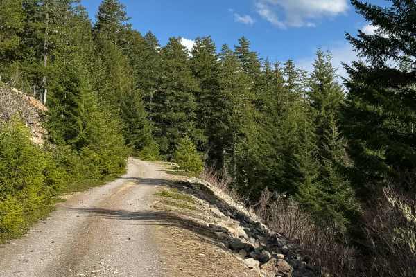 Cort Road- FS 1276