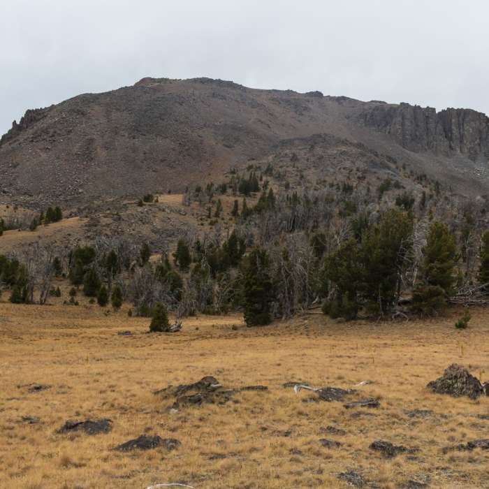 Near Black Butte