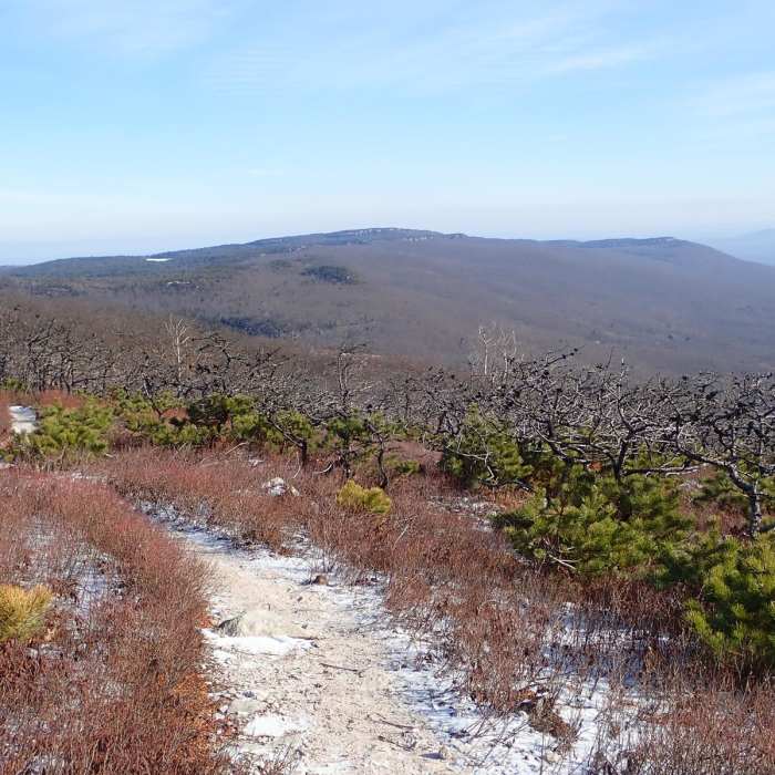 Near Sam's Point and Verkeerderkill Falls Trail